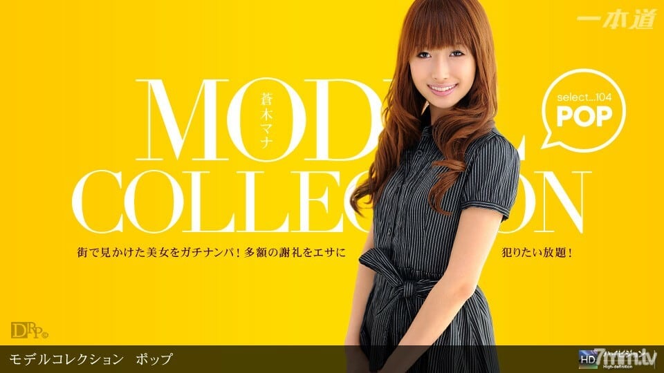 060311_107 模型系列选择... 104 Pop