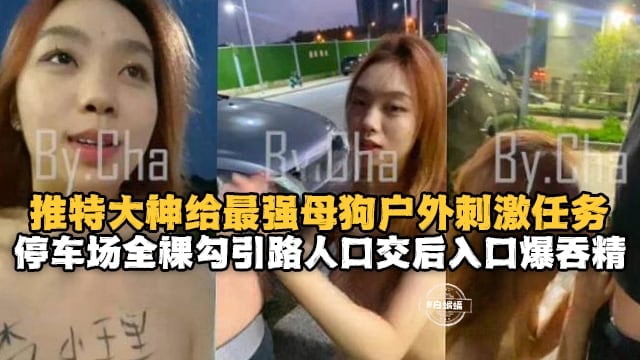 推特大神给最强母狗户外露出任务-停车场全裸勾引路人口交后入吞精