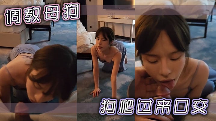 调教母狗狗爬过来口交.