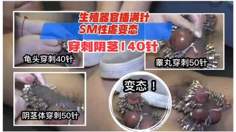 重口变态系列。。胆小勿进，生殖器官被插满针，SM性虐变态穿针140针