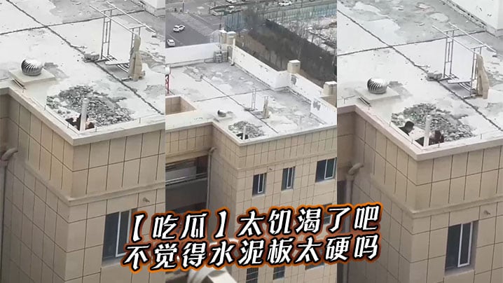 吃瓜太饥渴了吧不觉得水泥板太硬吗.