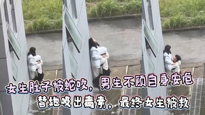 女生肚子被蛇咬男生不顾自身安危替她吸出毒素最终女.生被救