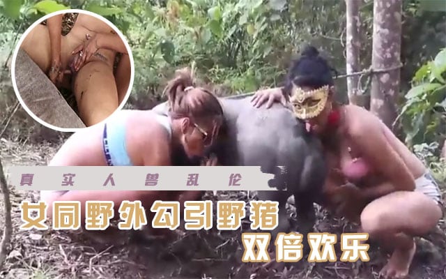 【人兽乱伦】女同野外勾引野猪 双倍快乐