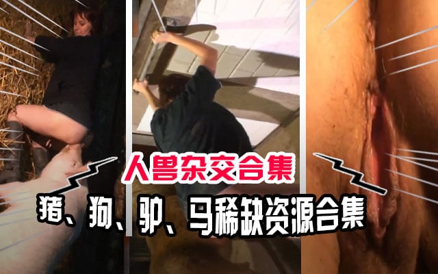 【人兽乱交】猪马狗驴稀缺资源合集！