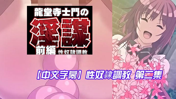 中文字幕性奴隷調教第二集