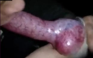 [无码] 俊美男仆跪舔狗屌 极致羞辱调教