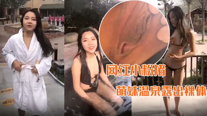 精品推荐网红小粉猪西萌工作室流出萌妹温泉露出裸体.问路车内自慰